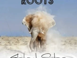 Afrikan Roots – Elephant Steps