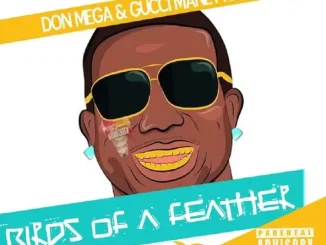Don Mega & Gucci Mane – Birds of a Feather 2