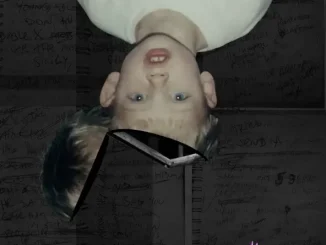 Mgk Hotel Diablo
