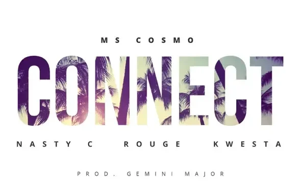 Ms. Cosmo Connect (feat. Nasty C, Rouge & Kwesta)