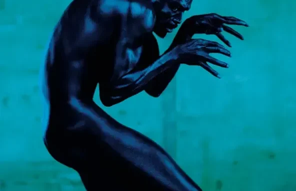 Seal Human Being