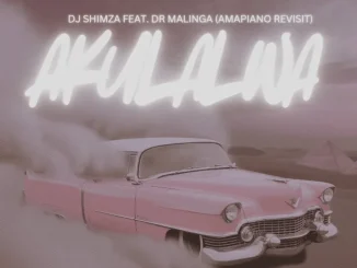 Shimza – Akulalwa ft Dr Malinga