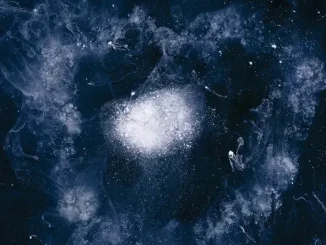 Swans – My Father Will Guide Me Up a Rope To the Sky
