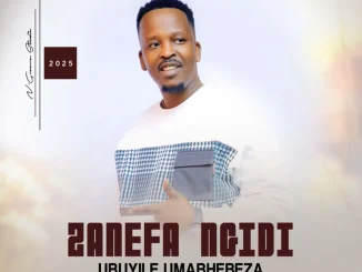 Zanefa Ngidi – Itotolozi yomntanami