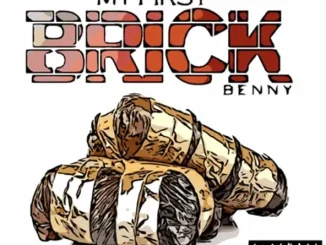 Benny the Butcher My First Brick