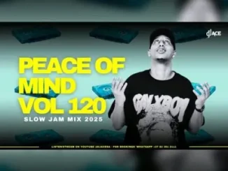 DJ Ace – Peace of Mind Vol 120 (Slow Jam 2025 Mix)