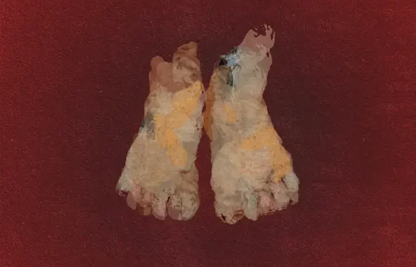 Earl Sweatshirt FEET OF CLAY (Deluxe)