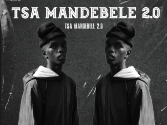 KaygeeRsa – Tsa Mandebele 2.0 ft Sthipla rsa, Mfana Hp & Terminal ZA