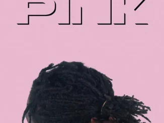 Lancey Foux Pink