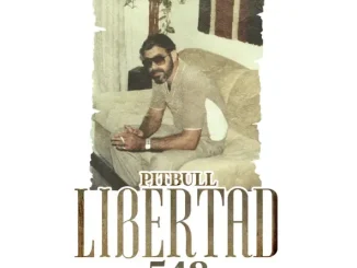 Pitbull Libertad 548