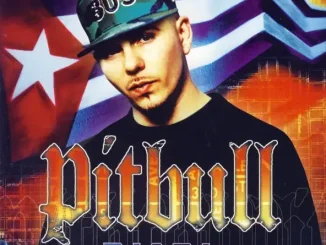 Pitbull M I A M I