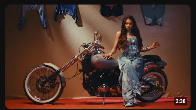 Shashl – Perfect Somebody
