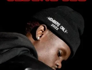 Sizwe Nineteen – Sebono Seo Ft. Bunny Energizer & Katlego Flex