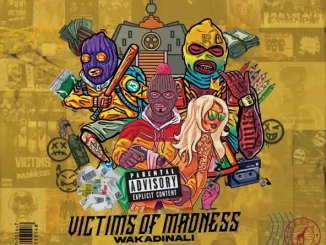 Wakadinali Victims Of Madness