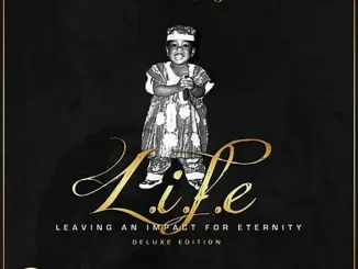 Burna Boy L I F E Leaving an Impact for Eternity (Deluxe Edition)