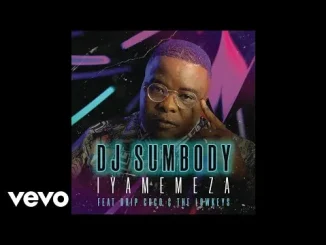 DJ Sumbody Iyamemeza (Official Audio) ft. Drip Gogo, The Lowkeys