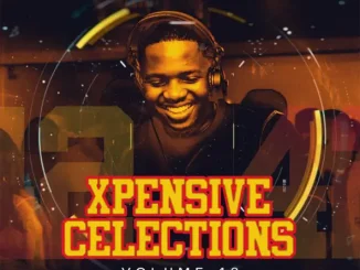 Dj Jaivane XpensiveCelections, Vol 4