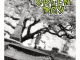 Green Day 1,039 Smoothed Out Slappy Hours (Deluxe Edition