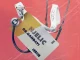 Njelic Bophelo Ke Ntwa ft. Sam Deep & MalumNator