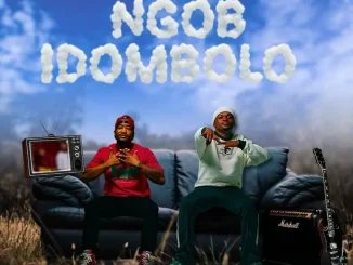 We Dem Boyz – NGOB IDOMBOLO